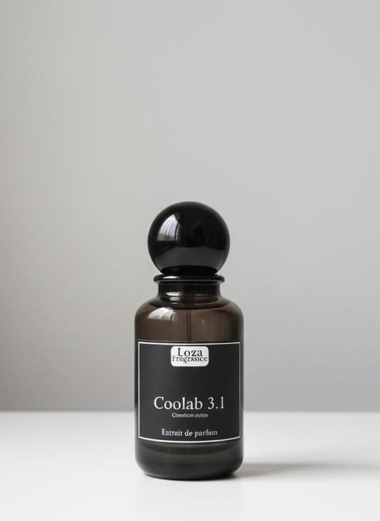 COOLAB 3.1